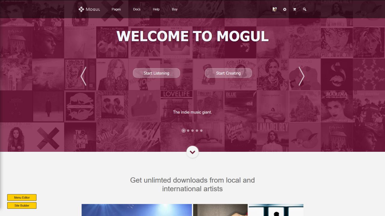 Mogul 2