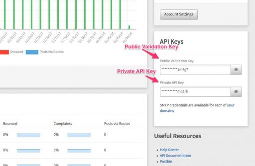 Get your API Key from the Mailgun Control Panel