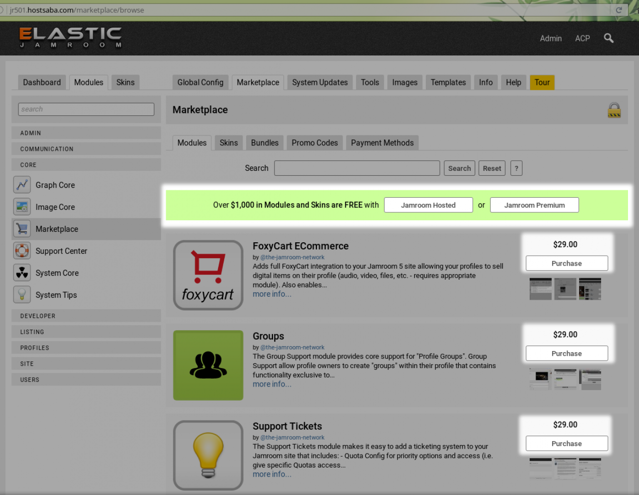 (screenshot of the marketplace without Jamroom Premium)