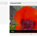 Screen Shot 2014-11-04 at 20.40.23.png