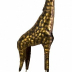 giraffe.jpg