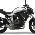 2014-Yamaha-MT-07.jpg
