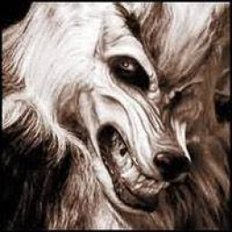 heno.zwarts