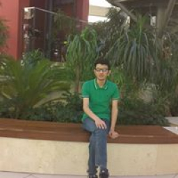 ali.waleed